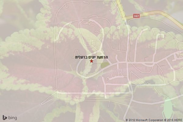 הרחקת יונים ברוגלית