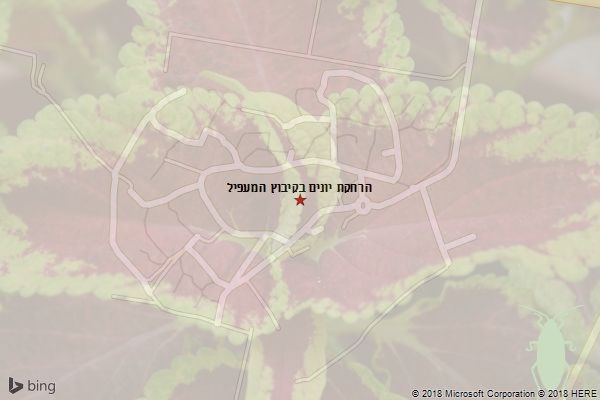 הרחקת יונים בקיבוץ המעפיל