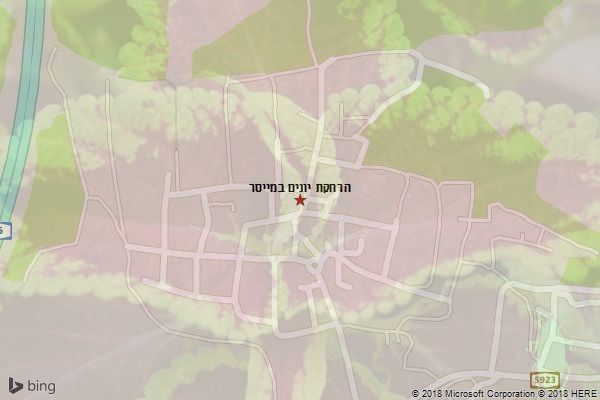 הרחקת יונים במייסר