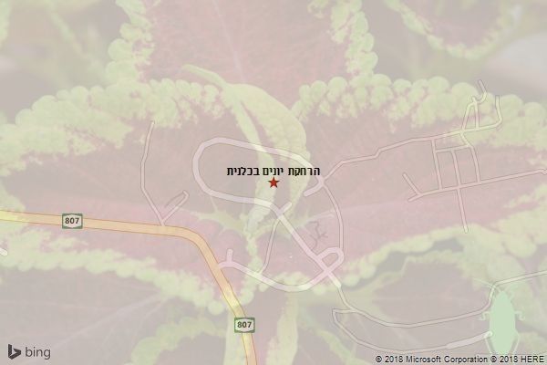 הרחקת יונים בכלנית