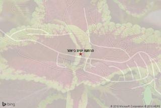 הרחקת יונים ביצהר