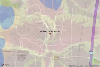 הרחקת יונים בנחשולים