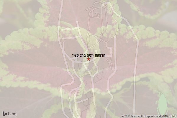 הרחקת יונים בתל קציר