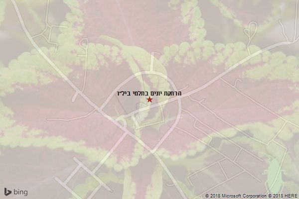 הרחקת יונים בתלמי ביל״ו