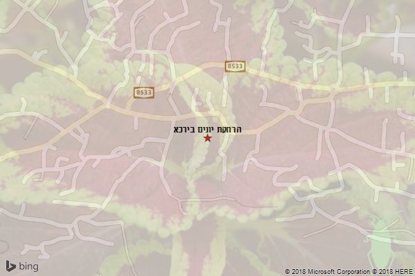 הרחקת יונים בירכא