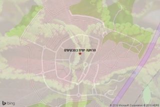 הרחקת יונים במבקיעים