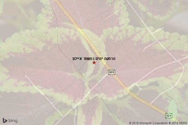 הרחקת יונים במשמר איילון