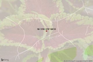 הרחקת יונים במדרך עוז