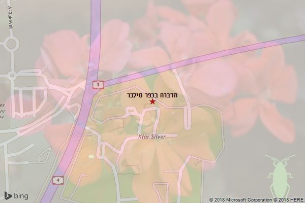 הדברה בכפר סילבר