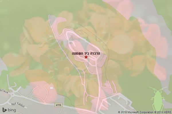 הדברה ביד השמונה