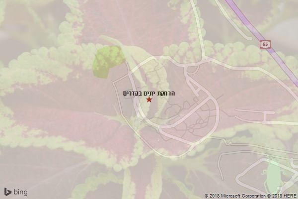 הרחקת יונים בקדרים