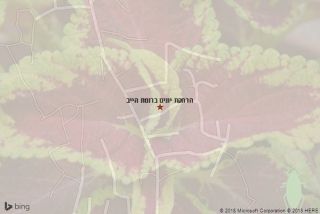 הרחקת יונים ברומת הייב