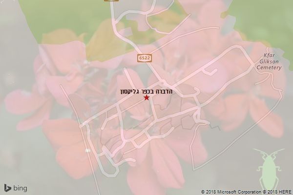 הדברה בכפר גליקסון