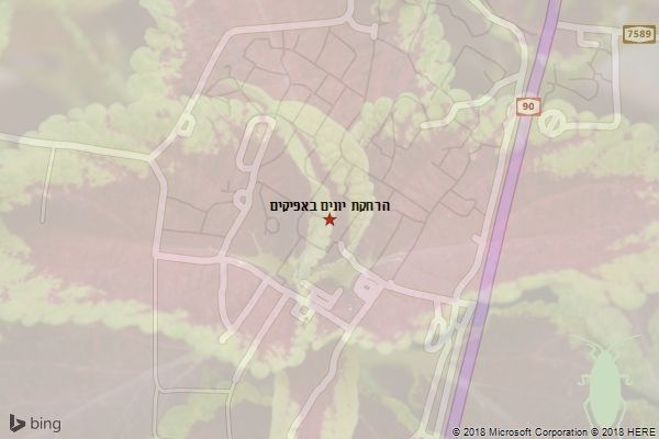 הרחקת יונים באפיקים