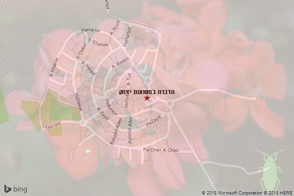 הדברה במשואות יצחק