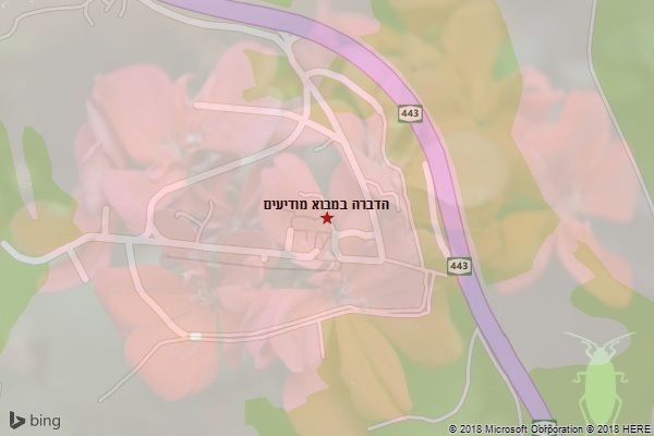 הדברה במבוא מודיעים