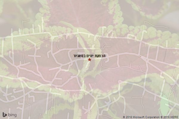 הרחקת יונים בסאג׳ור