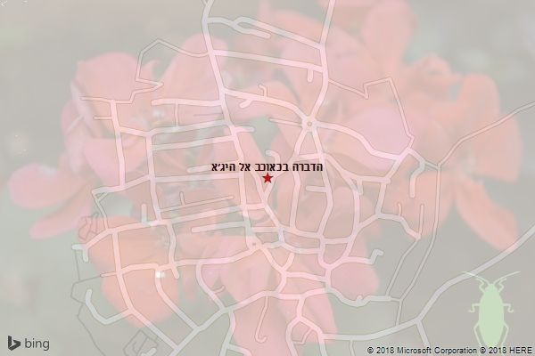 הדברה בכאוכב אל היג׳א