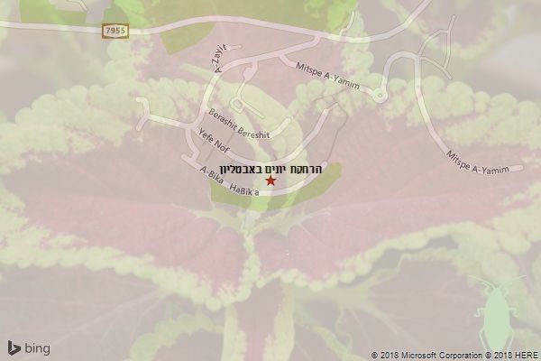 הרחקת יונים באבטליון