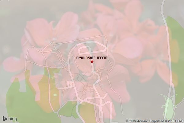 הדברה במאיר שפיה