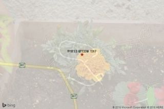 לוכד עכברים בכלנית