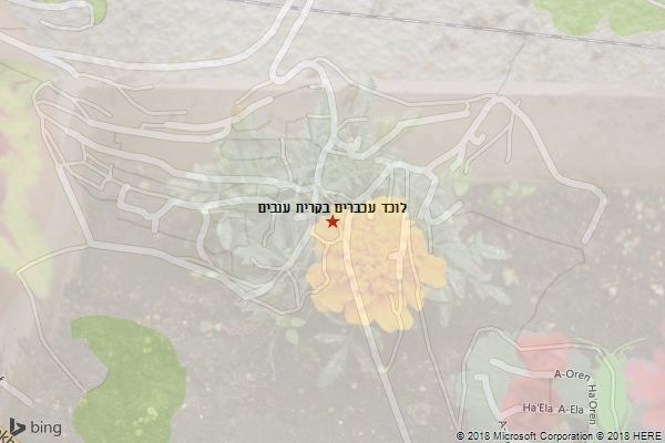 לוכד עכברים בקרית ענבים