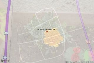 לוכד עכברים בהחותרים