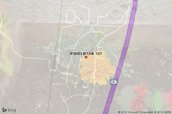 לוכד עכברים בהבונים