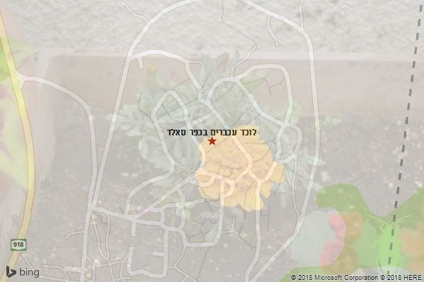 לוכד עכברים בכפר סאלד