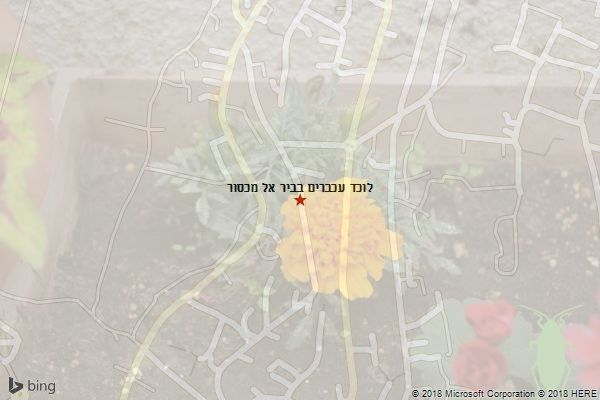 לוכד עכברים בביר אל מכסור