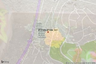 לוכד עכברים בפוריידיס