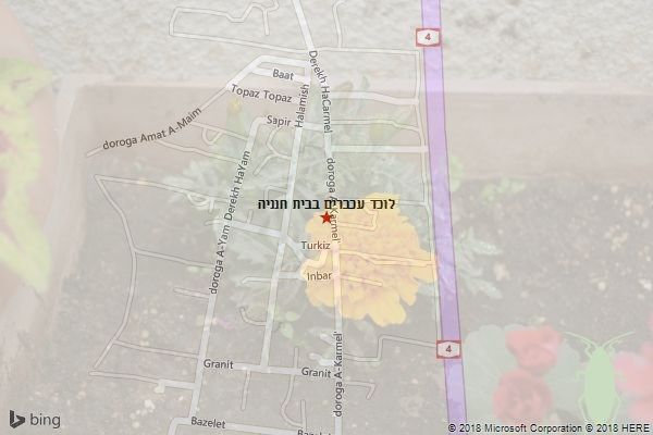 לוכד עכברים בבית חנניה