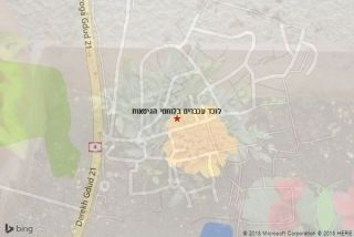 לוכד עכברים בלוחמי הגיטאות