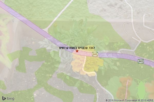 לוכד עכברים בנאות קדומים