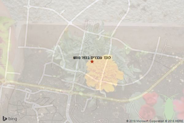 לוכד עכברים בכפר מונש