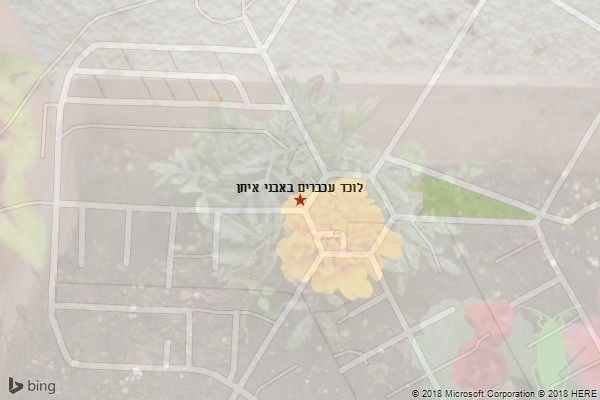 לוכד עכברים באבני איתן