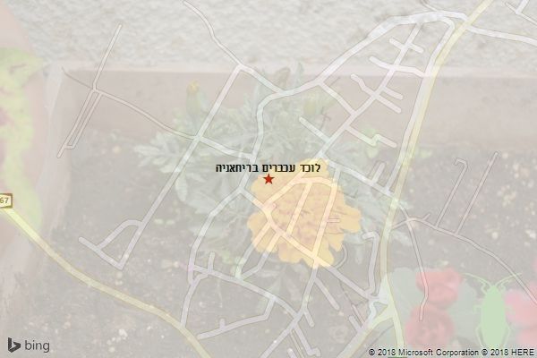 לוכד עכברים בריחאניה