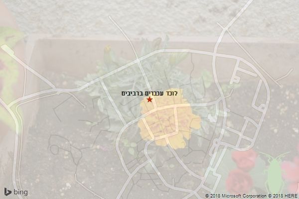 לוכד עכברים ברביבים