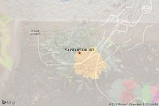 לוכד עכברים בעין גדי