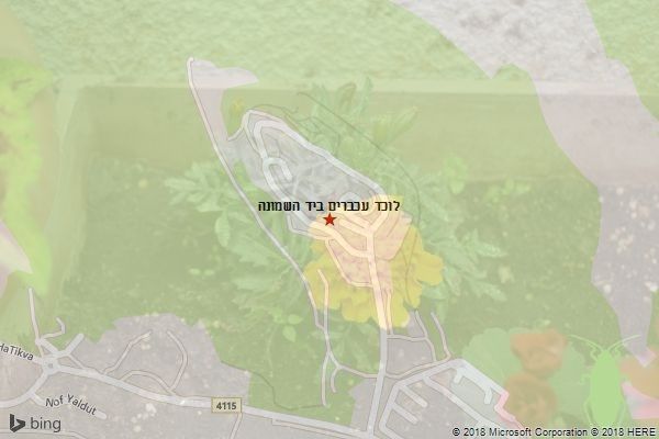 לוכד עכברים ביד השמונה