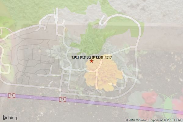 לוכד עכברים בקיבוץ גניגר