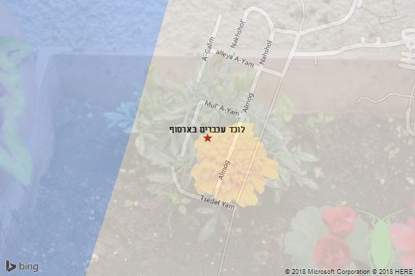 לוכד עכברים בארסוף