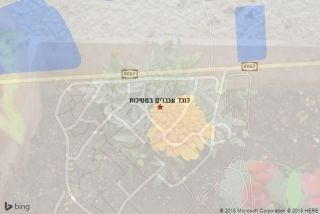 לוכד עכברים במסילות