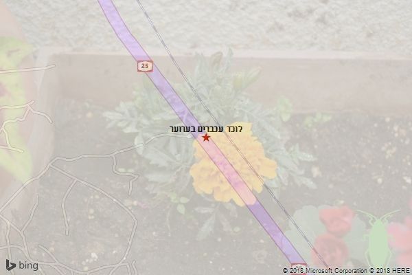 לוכד עכברים בערוער