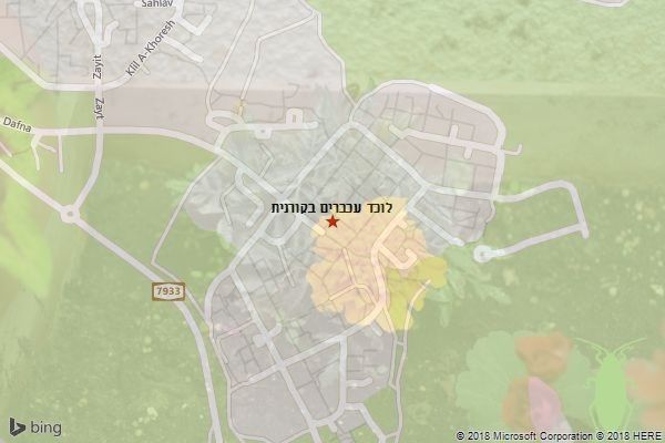 לוכד עכברים בקורנית