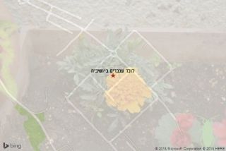 לוכד עכברים ביושיביה