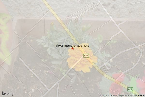 לוכד עכברים במשמר איילון