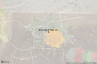 לוכד עכברים בעין עירון