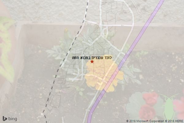 לוכד עכברים במבוא חמה