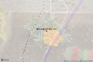 לוכד עכברים במבוא חמה